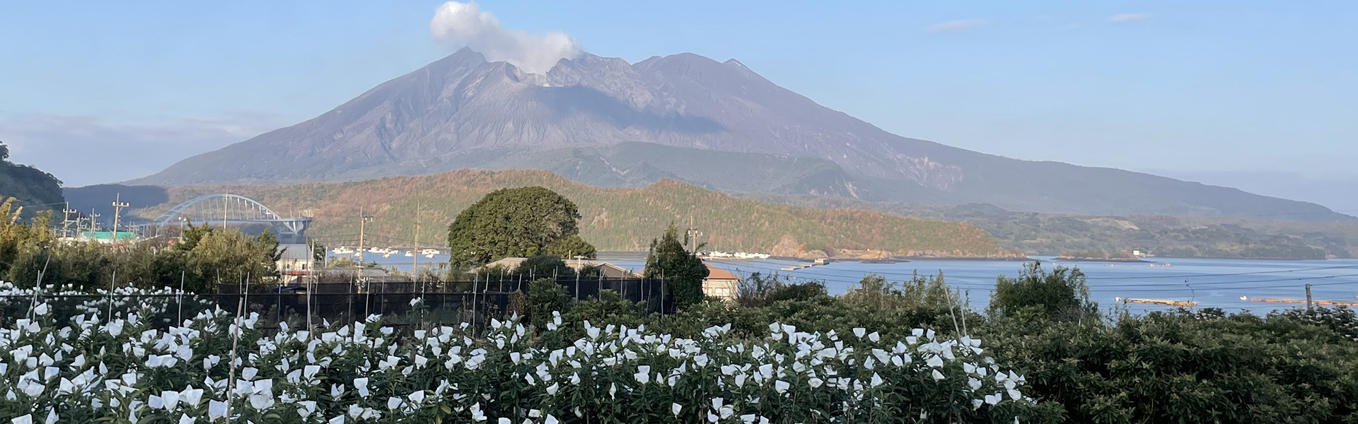 道の駅たるみず湯っ足り館 特産品